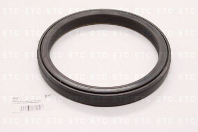 B1VI Сальник ступицы 132*160*10