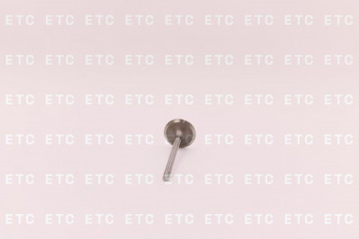 6N9916 Клапан выпускной