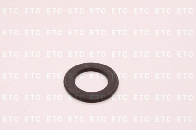 FEBI 100941 Кольцо