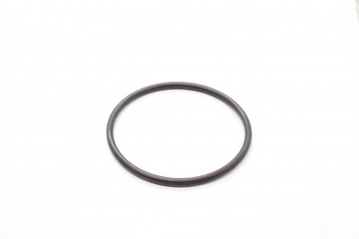 9902000010 Кольцо 110*100