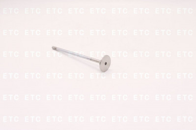 DT 210575 Клапан впускной