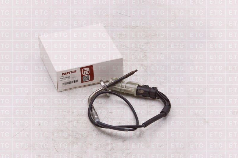PT4210263 Датчик температуры выхлопных газов PT200 — 1